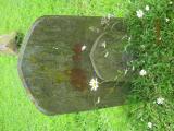 image of grave number 251264